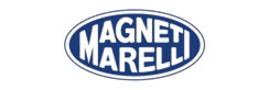 Cleared VDA 6.3 Quality Supplier Audit From Magneti Marelli Italy – Jan.2015